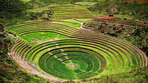 MORAY